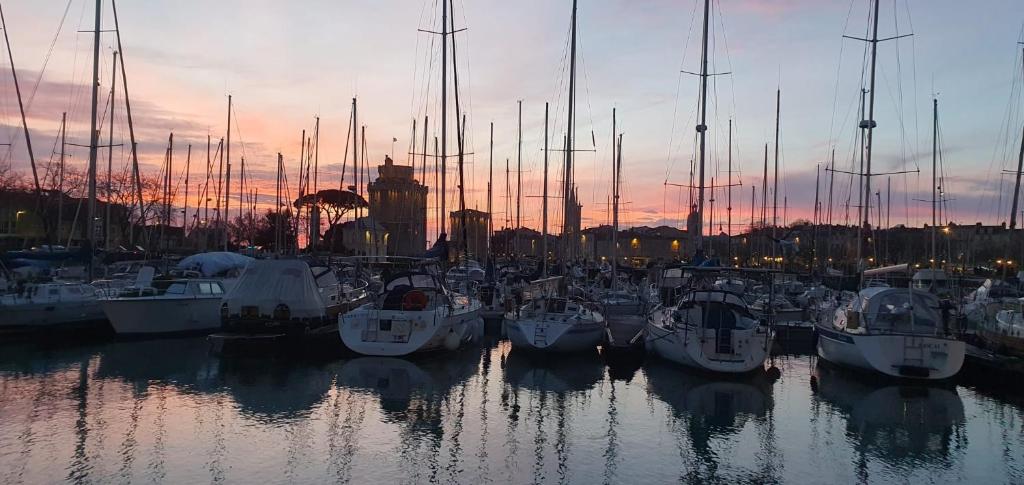 Baladin - Dormir sur un voilier By Nuits au Port nuit insolite à Région non trouvée La Rochelle