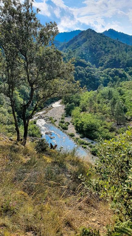 Bivouac nature Tentes Lodges dans les Cevennes nuit insolite Languedoc Roussillon Saint Jean du Gard 13