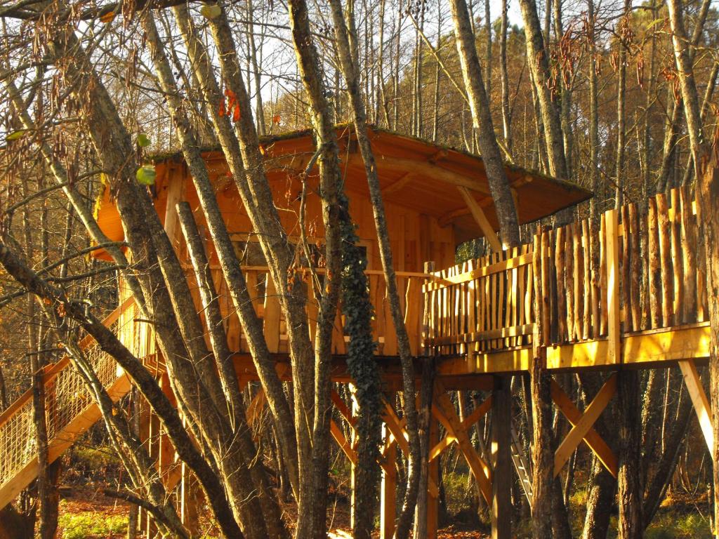 Cabane des cerfs nuit insolite Aquitaine Allons