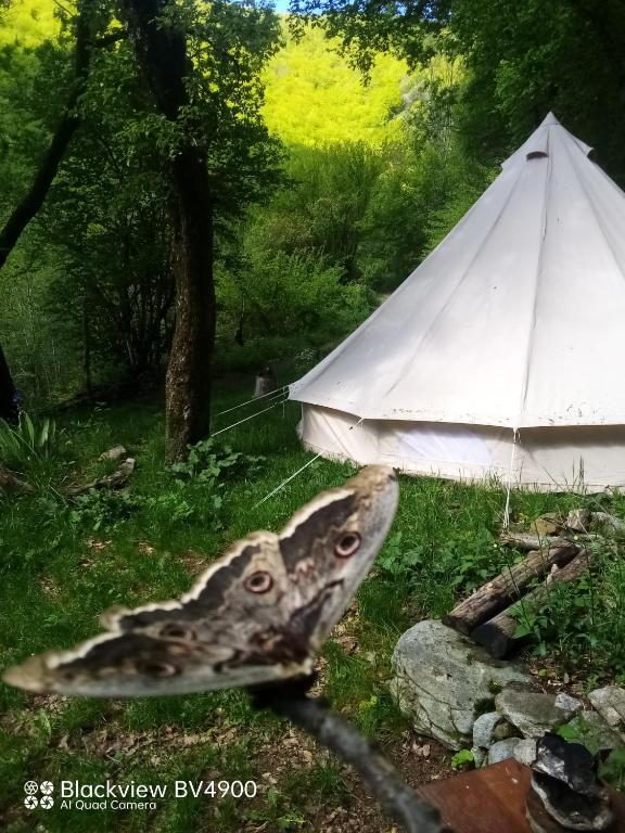 Grande Tente Tipi en pleine foret nuit insolite Rhone Alpes Burzet