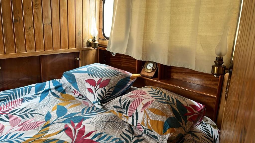 LAmazone bateau a quai sur le canal de bourgogne nuit insolite Bourgogne Tanlay 5