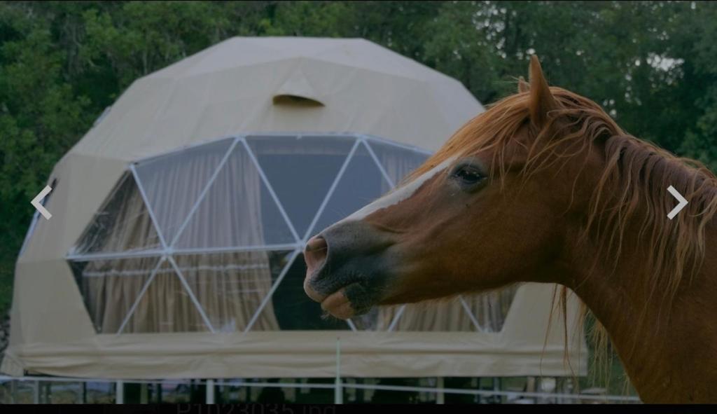 La cabane aux chevaux nuit insolite Provence Alpes Cote dAzur Varages 3