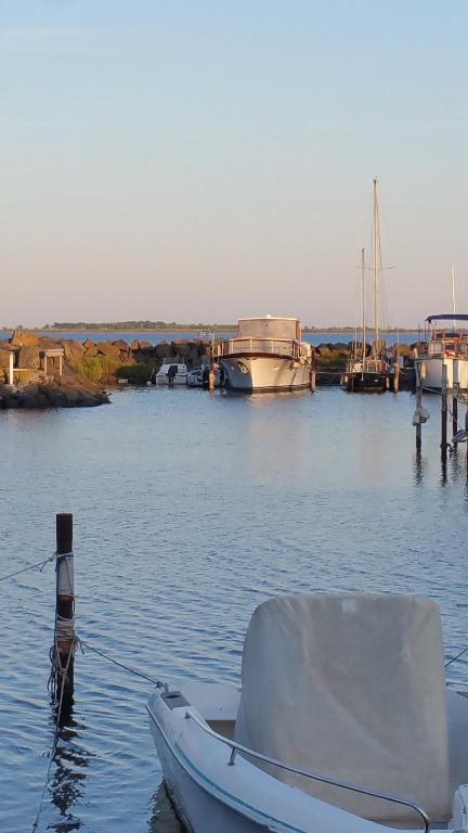 Lady of Bahia nuit insolite à Languedoc-Roussillon Marseillan