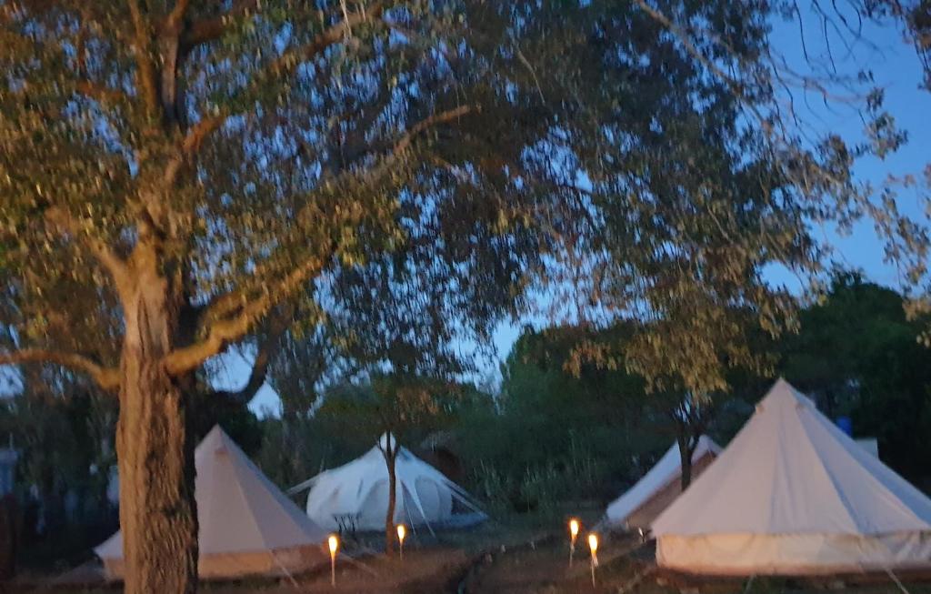 Le Jeklo nuit insolite à Languedoc-Roussillon Vias