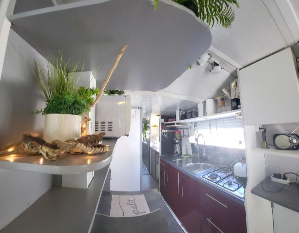 Logement entier sur bateau nuit insolite Midi Pyrenees Montech 3