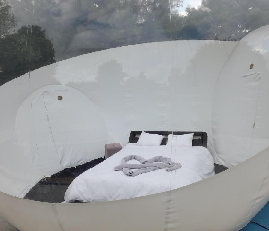 Nuit insolite dans une bulle avec jacuzzi privatif nuit insolite Region non trouvee Ville non trouvee 11