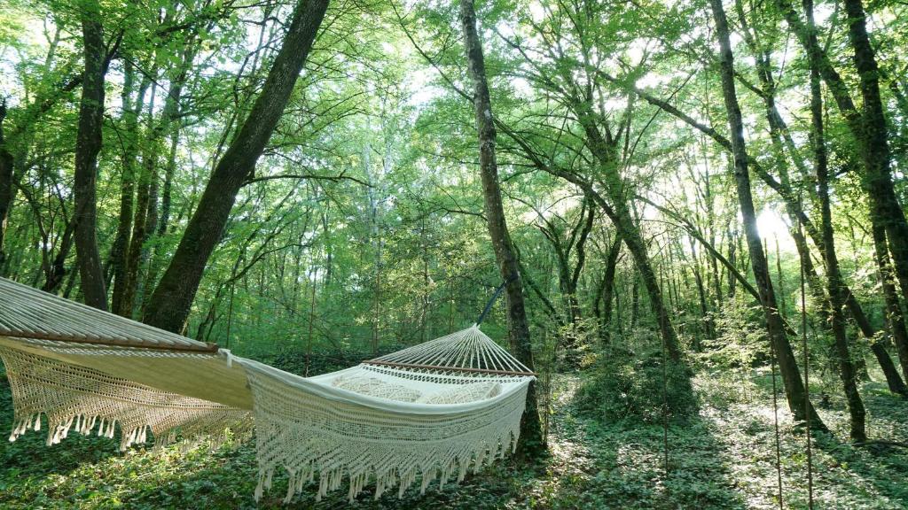 O Pays Des Bois Hebergements insolites en pleine nature nuit insolite Rhone Alpes Parmilieu 17