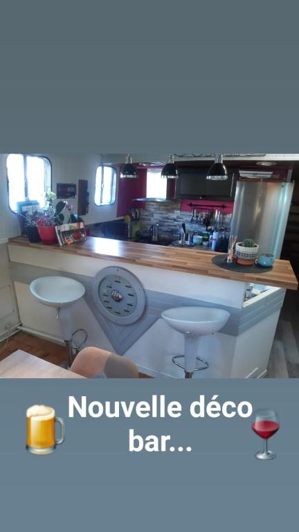 PENICHE ONDINE nuit insolite Bourgogne Plombieres les Dijon 8