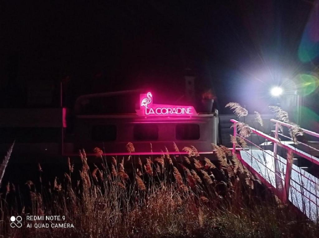Séjour atypique et insolite sur notre péniche La Coradine avec grand spa nuit insolite à Languedoc-Roussillon Aigues-Mortes