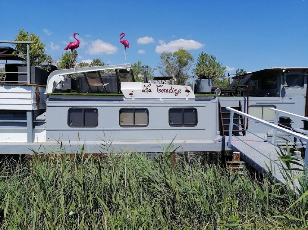 Séjour atypique et insolite sur notre péniche La Coradine avec grand spa nuit insolite à Languedoc-Roussillon Aigues-Mortes