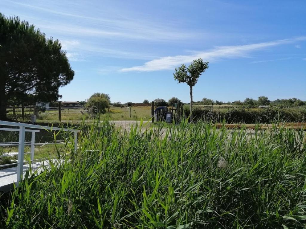Séjour atypique et insolite sur notre péniche La Coradine avec grand spa nuit insolite à Languedoc-Roussillon Aigues-Mortes