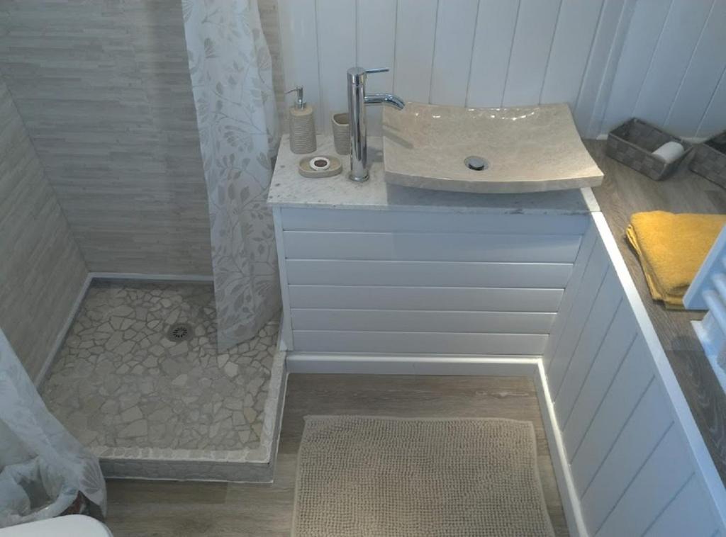 Séjour atypique et insolite sur notre péniche La Coradine avec grand spa nuit insolite à Languedoc-Roussillon Aigues-Mortes