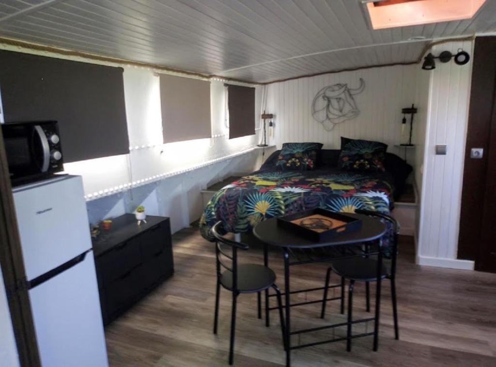 Séjour atypique et insolite sur notre péniche La Coradine avec grand spa nuit insolite à Languedoc-Roussillon Aigues-Mortes