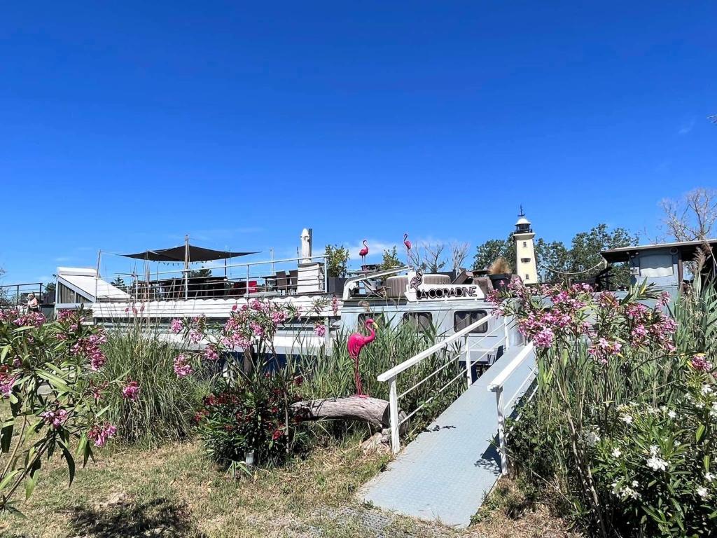 Séjour atypique et insolite sur notre péniche La Coradine avec grand spa nuit insolite à Languedoc-Roussillon Aigues-Mortes