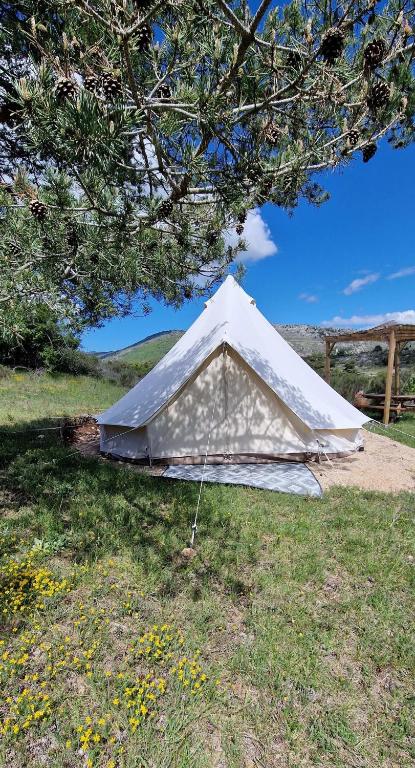 Tente Lodge TIPI A 1H de Nice CLAIR DE LUNE nuit insolite Provence Alpes Cote dAzur Bezaudun les Alpes 14