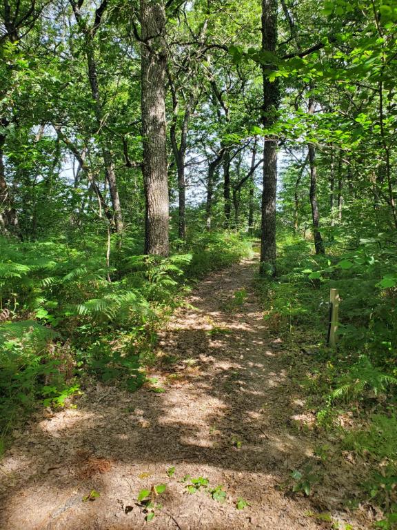 Tente des bois nuit insolite Aquitaine Rouffignac Saint Cernin de Reilhac 17