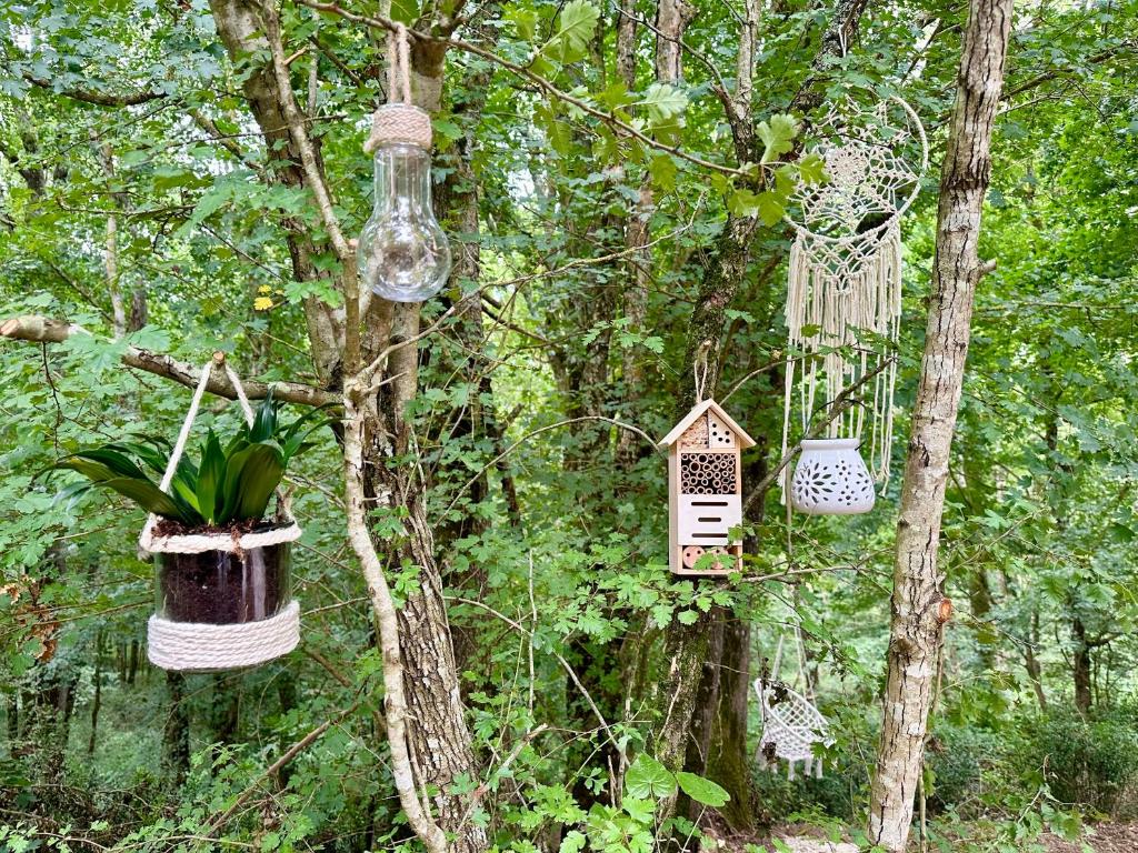 Wild Lodge nuit insolite Midi Pyrenees Lasseran 8