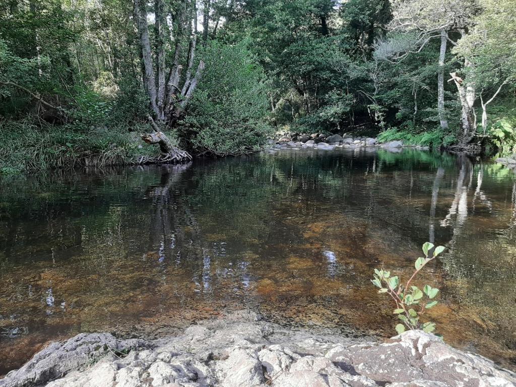 Yourtes Corse Le pre aux biches nuit insolite Corse Zonza 10