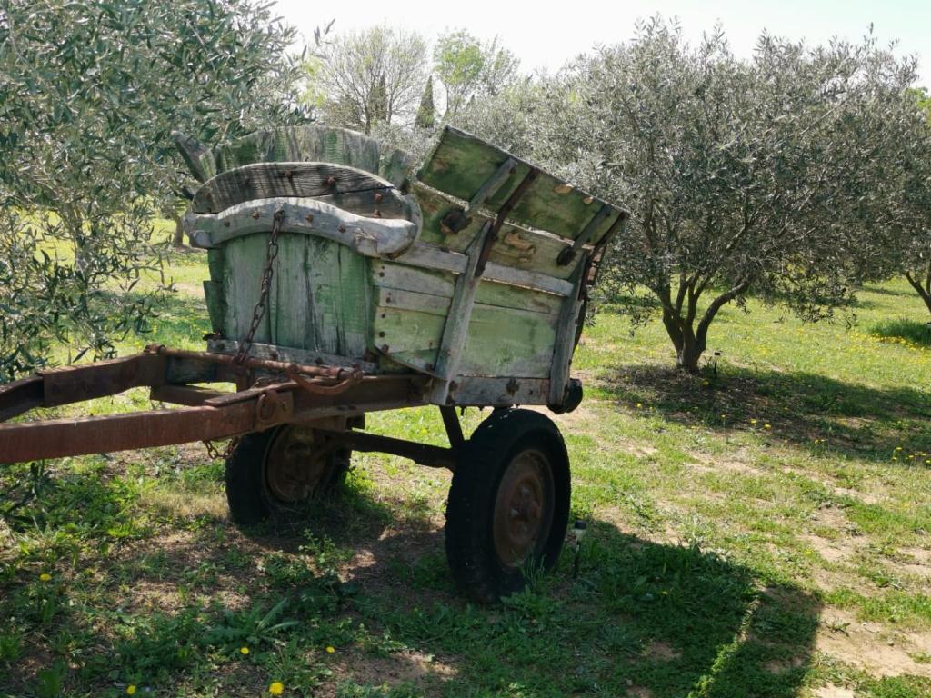 Agrandissement