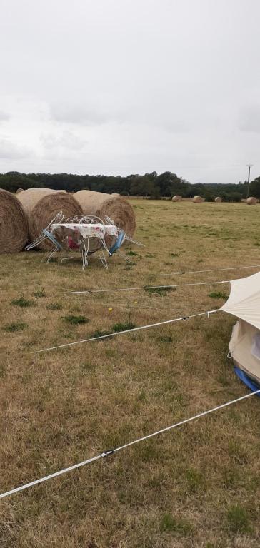 location nest plus active nuit insolite Region non trouvee Ville non trouvee 2