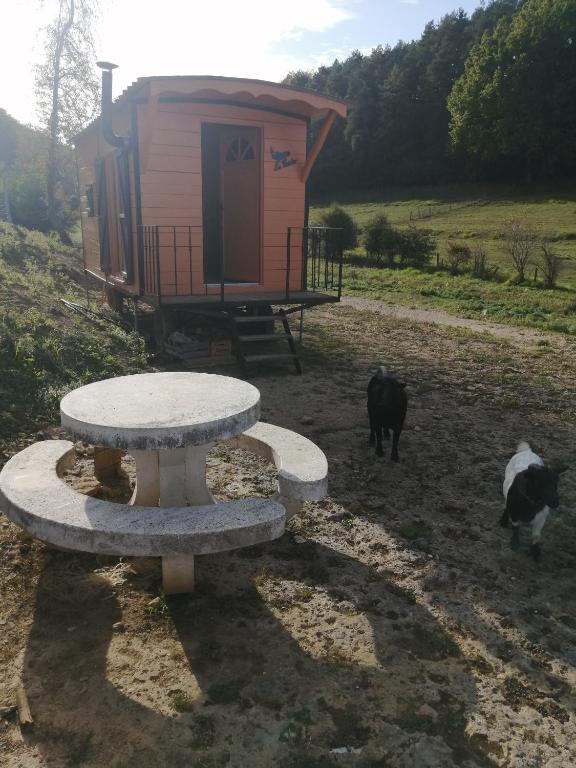 Agrandissement
